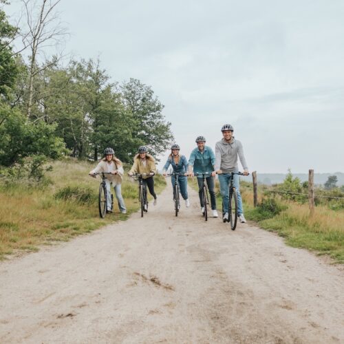 1.Kick-bike-biken-steppen-4-personen-Natures-Gift-de-veluwe-actief-uitje-in-de-natuur-groen-sportief-vrienden-belevenis