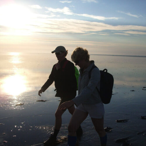 1.Ontdekdewadden10-Resized