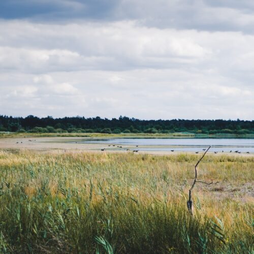 2.Avontuur-Dichtbij-natures-gift-duurzaam-cadeau-sustainable-gift-card-duurzaamheid-natuur-geschenk-gifts-impact-@TheHike