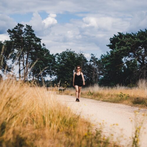 1.Avontuur-Dichtbij-natures-gift-duurzaam-cadeau-sustainable-gift-card-duurzaamheid-natuur-geschenk-gifts-impact-@TheHike
