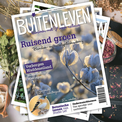 1.BuitenLeven-natures-gift-duurzaam-cadeau-sustainable-gift-card-duurzaamheid-natuur-geschenk-gifts-impact