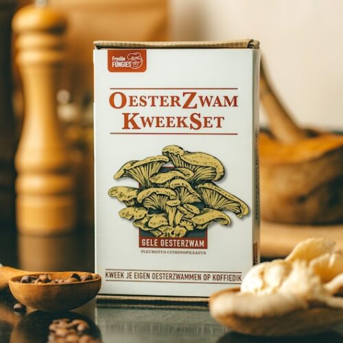 Kweekset – Gele Oesterzwam Fryslân Fungies