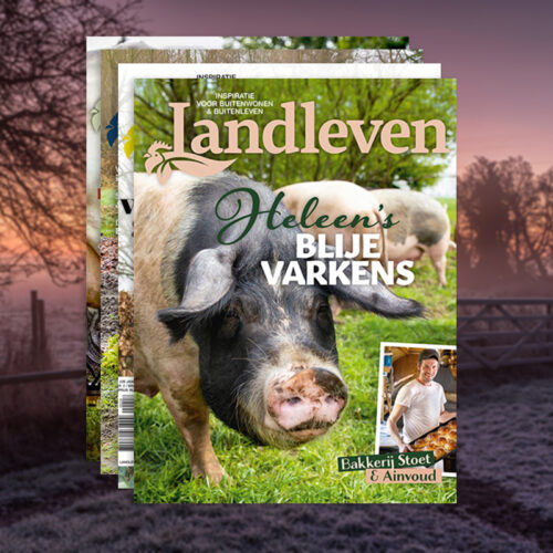 1.Landleven