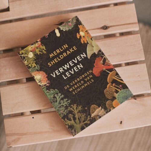 1.Verweven-Leven-2