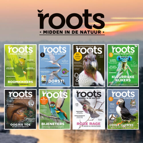3-roots-magazine