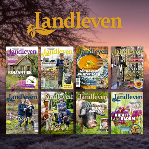 3.Landleven2