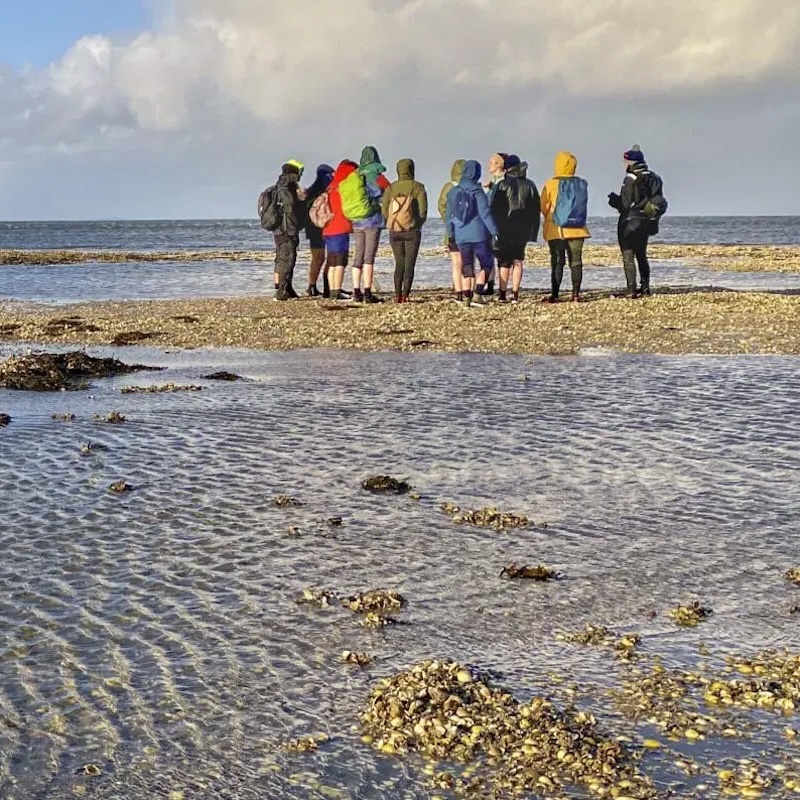 3.Waddenvereniging-Donatie-Natures-gift-duurzaam-cadeau-cadeaukaart
