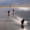 Wadlooptocht over de Wadden