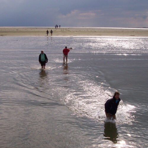 Wadlooptocht over de Wadden