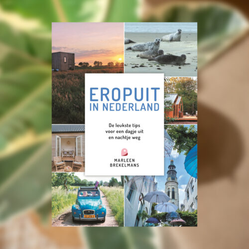 EROPUIT-in-nederland-boek-800-1