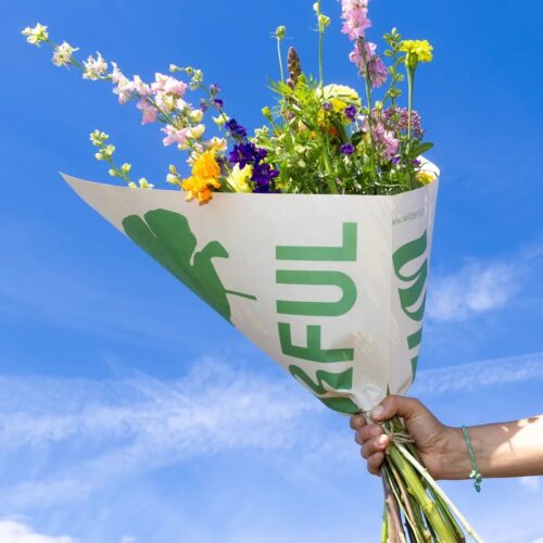 Biologische bloemen van Wilderful