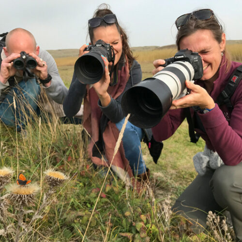 servan-workshop-natuurfotografie