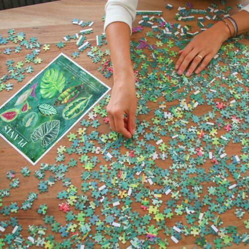 10.hippe-Planten-puzzel-1000-stukjes-cadeau-brievenbus-post-plantnamen-special-gift-bloompost800