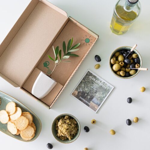 3.olive-tree