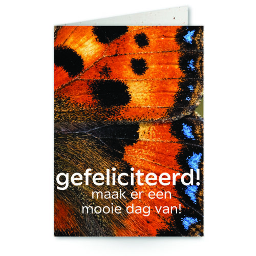 wenskaart met tekst gefeliciteerd! maak er een mooie dag van! met close-up oranje vlinder