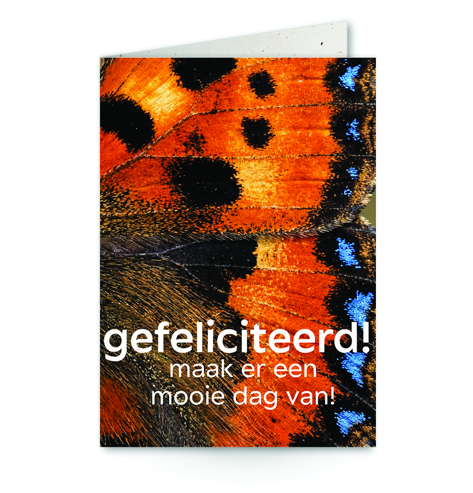 wenskaart met tekst gefeliciteerd! maak er een mooie dag van! met close-up oranje vlinder
