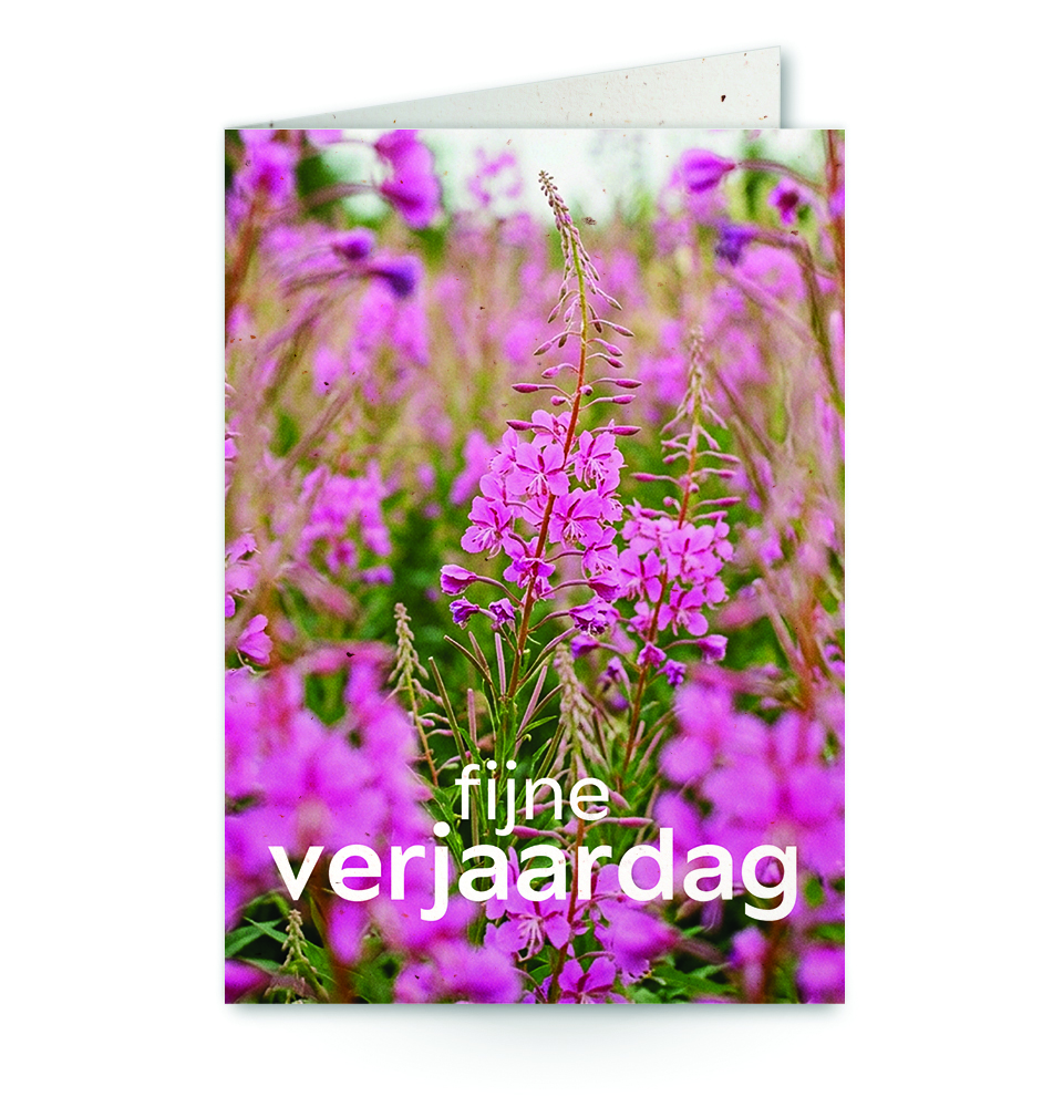 wenskaart fijne verjaardag met roze bloemenveld op achtergrond