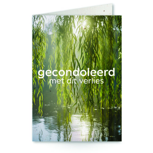 wenskaart met tekst gecondoleerd met dit verlies en treurwilg op achtergrond