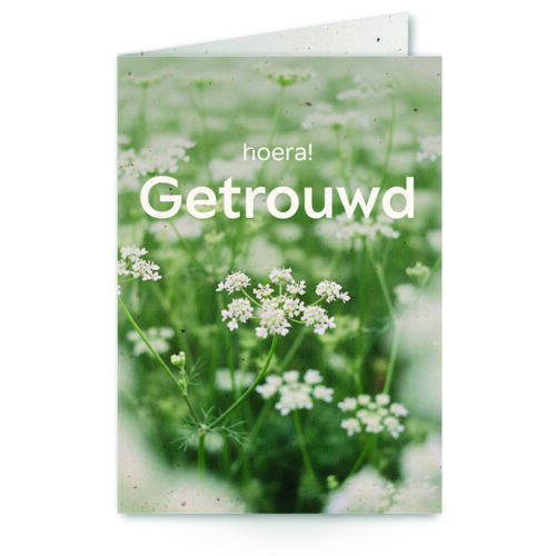 wenskaart met tekst hoera! getrouwd met op achtergrond vlierbloesem