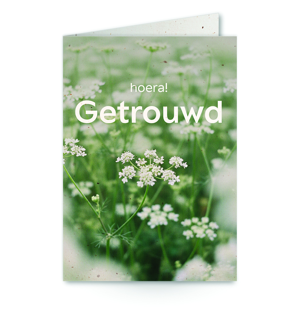 wenskaart met tekst hoera! getrouwd met op achtergrond vlierbloesem