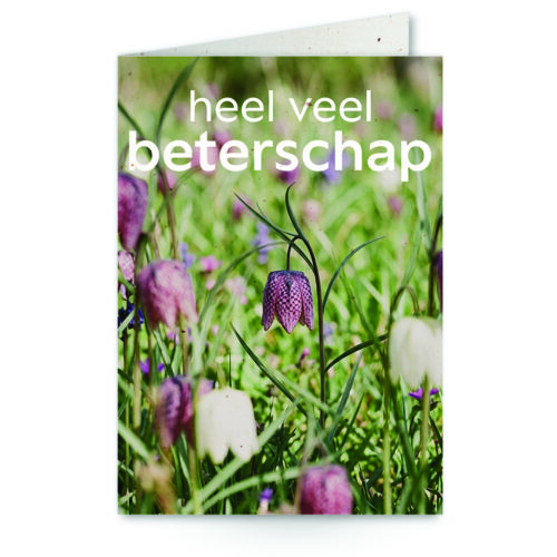wenskaart met tekst heel veel beterschap met een bloemenveld op de achtergrond