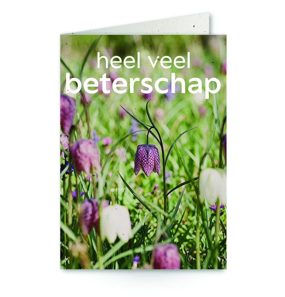 wenskaart met tekst heel veel beterschap met een bloemenveld op de achtergrond