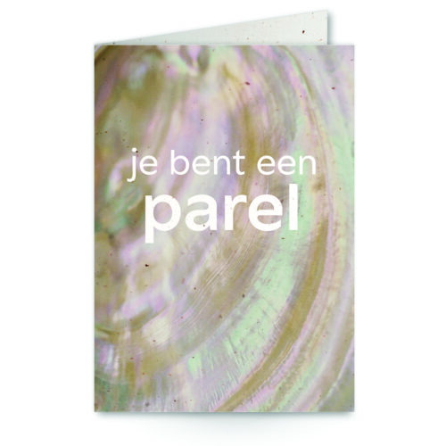 wenskaart met tekst je bent een parel met een ingezoomde parel op de achtergrond