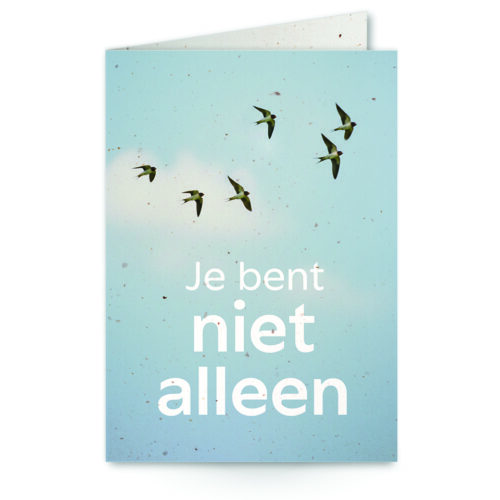 wenskaart met tekst je bent niet alleen met zwaluwen in de lucht op de achtergrond