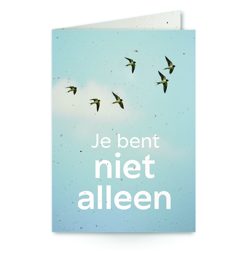 wenskaart met tekst je bent niet alleen met zwaluwen in de lucht op de achtergrond