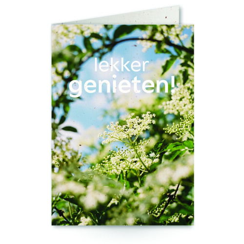 wenskaart met tekst lekker genieten! met een vlierbloesemstruik op de achtergrond