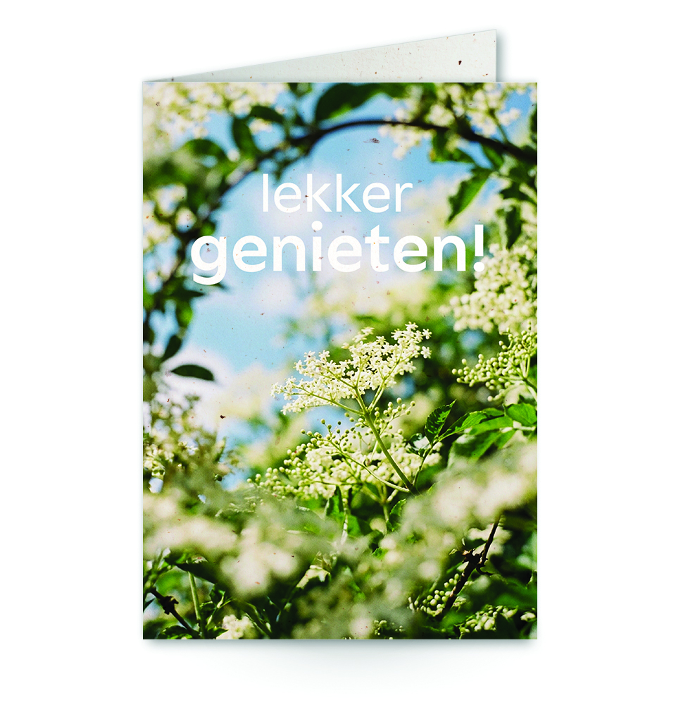 wenskaart met tekst lekker genieten! met een vlierbloesemstruik op de achtergrond