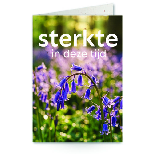 wenskaart met tekst Sterkte in deze tijd met paarse hyacinten op de achtergrond