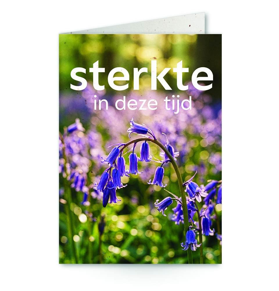 wenskaart met tekst Sterkte in deze tijd met paarse hyacinten op de achtergrond