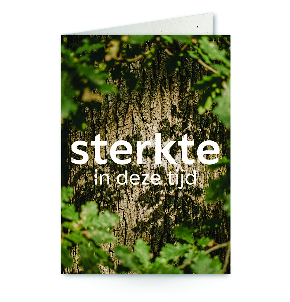 wenskaart met tekst sterkte in deze tijd met een close up van een boom op de achtergrond