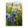 wenskaart met tekst Thank you! met een veld korenbloemen op de achtergrond
