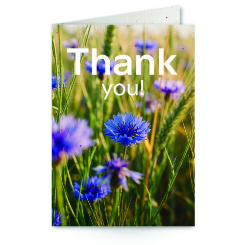 wenskaart met tekst Thank you! met een veld korenbloemen op de achtergrond