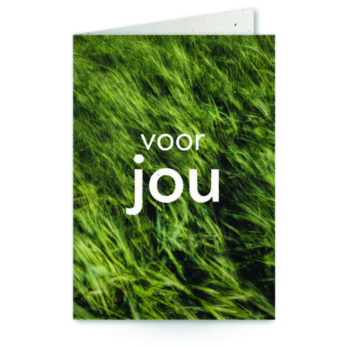 wenskaart met tekst voor jou met gras op de achtergrond