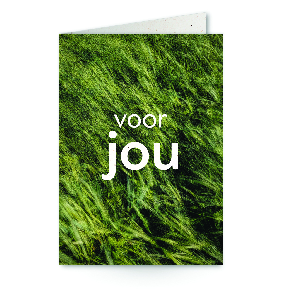 wenskaart met tekst voor jou met gras op de achtergrond