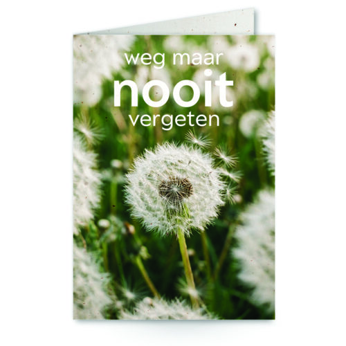 wenskaart met tekst weg maar nooit vergeten met paardenbloemen op de achtergrond