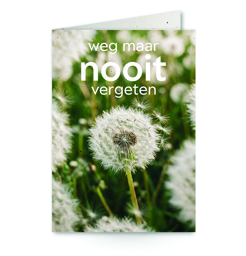 wenskaart met tekst weg maar nooit vergeten met paardenbloemen op de achtergrond