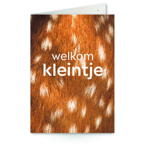 Wenskaart close up hert met tekst welkom kleintje