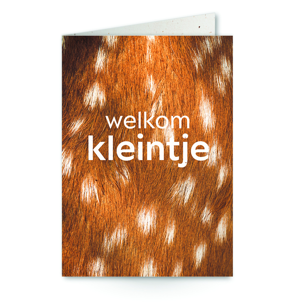 Wenskaart close up hert met tekst welkom kleintje