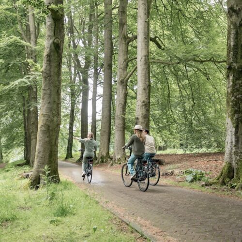 Ontspannen e-bike tourtocht