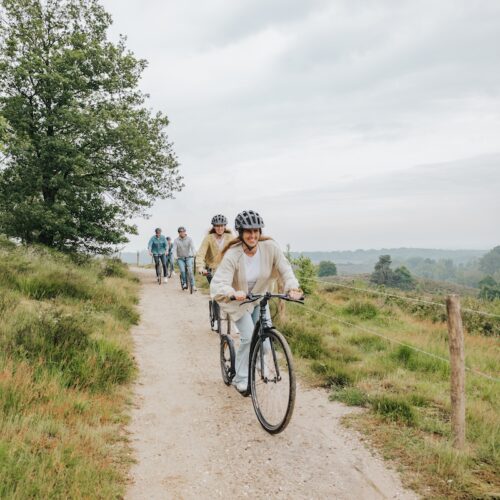 Kickbiken op de Veluwe