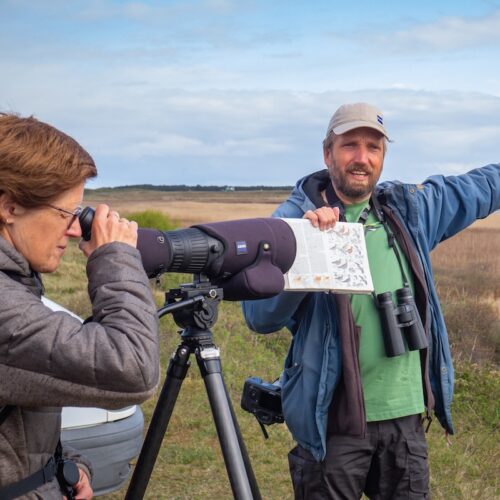 Vogelsafari op Texel