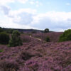 Gezinsfietstocht over de Veluwe