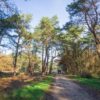 Nivon Trektocht Drenthe 2daagse