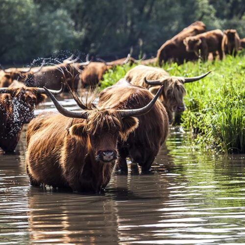Verrassend Avontuur Zuid-Holland