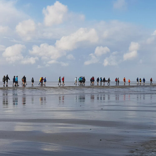 Dagje-Wadden-doen-kado-uitjes-cadeau-geven-belevenis1