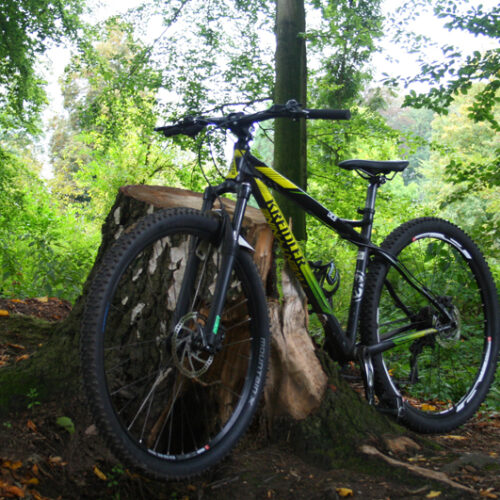 Mountainbiken op de Veluwe